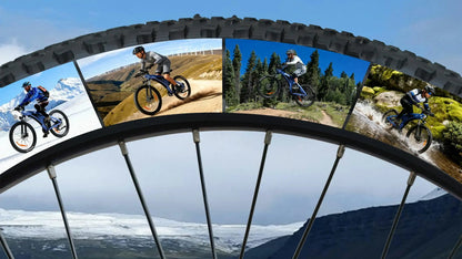 Shark Mako🦈 27.5×2.25" E-MTB